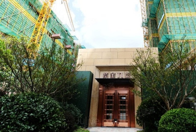 大名城紫金九号 