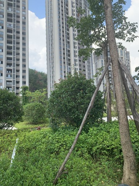 筑家蓝波湾(闽清)