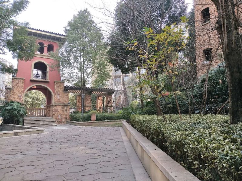 麓山国际帕萨迪纳2组