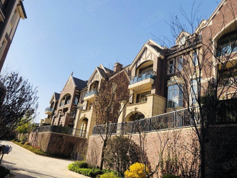 大华紫郡(别墅)