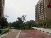 金峰小区图片