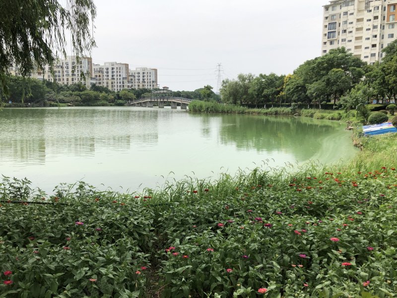 万科四季花城西半岛