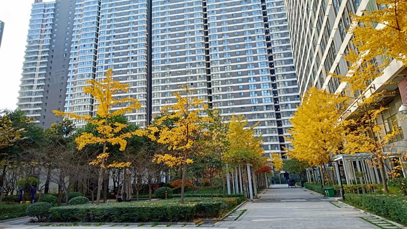 望庭国际(商住楼),高新路80号-西安望庭国际(商住楼)二手房,租房,房价