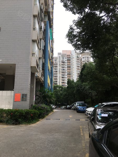 香格里拉花园(一期),长湖路59号-南宁香格里拉花园(一期)二手房,租房