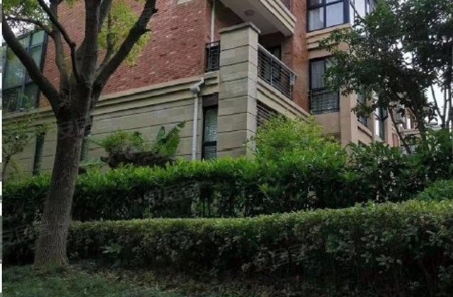 新出大双拼,真实可看5室2厅5卫338㎡南北共3层2006年建造原野花园松江