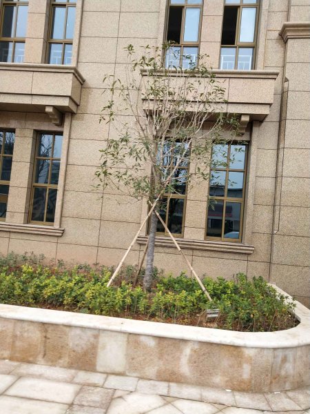 东方蓝郡,月泉西路-金华东方蓝郡二手房,租房,房价-金华安居客