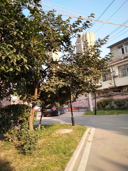 独秀园小区,当涂路-合肥独秀园小区二手房,租房,房价-合肥安居客