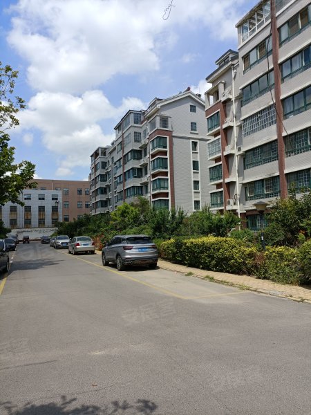 中央丽景,福寿东街-潍坊中央丽景二手房,租房,房价-潍坊安居客