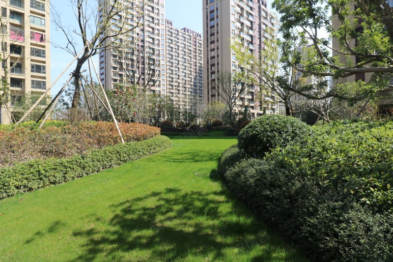 上实海上海(二期),白洋路-杭州上实海上海(二期)二手房,租房,房价