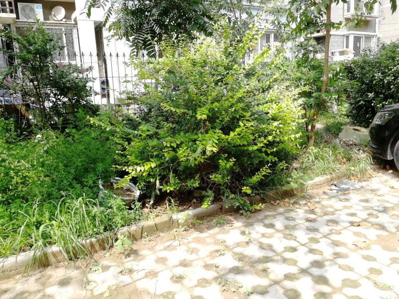 良兴嘉园,建东街-石家庄良兴嘉园二手房,租房,房价-石家庄安居客