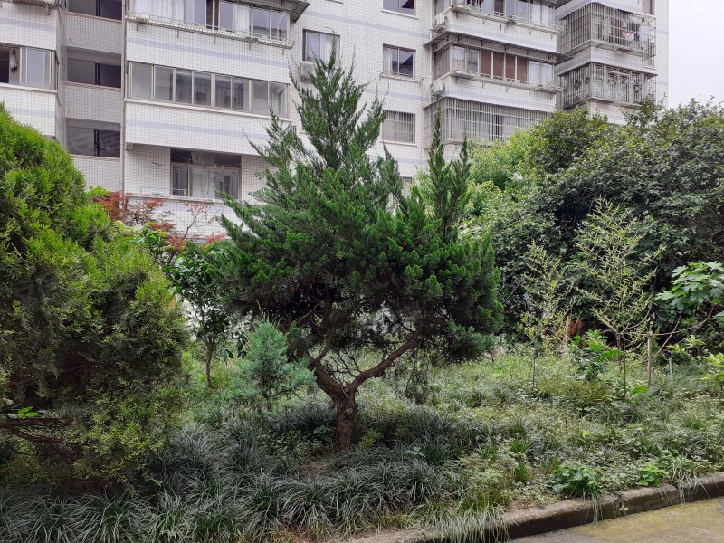 瓜渚湖商住楼