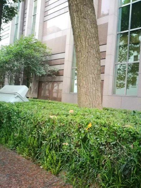 浦东大道140弄小区 