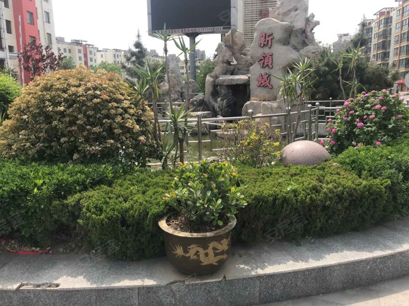 新领域国际花园,105国道-德州新领域国际花园二手房,租房,房价-德州