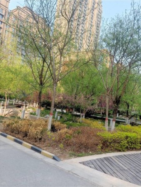 花郡郁金园,复兴路-保定花郡郁金园二手房,租房,房价-保定安居客