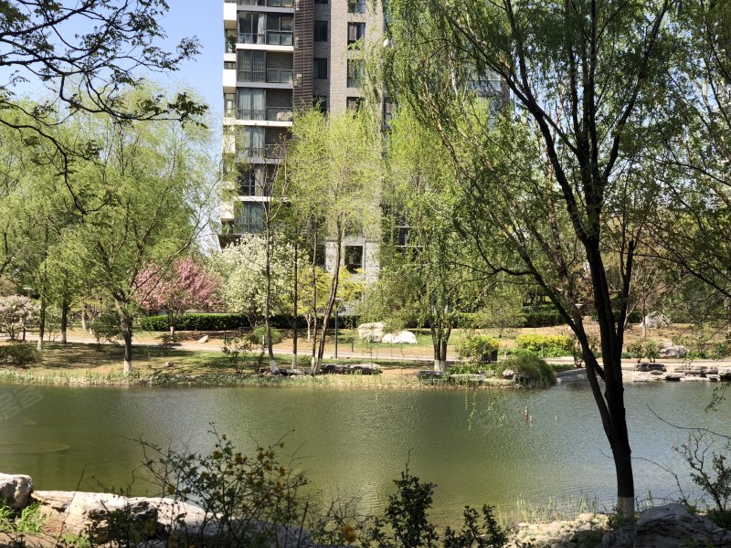 国兴观湖国际,东四环北路88号-北京国兴观湖国际二手房,租房,房价