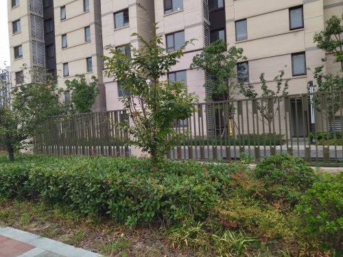 珑玥名邸,四望路88号 - 南京珑玥名邸二手房,租房,房价-南京安居客