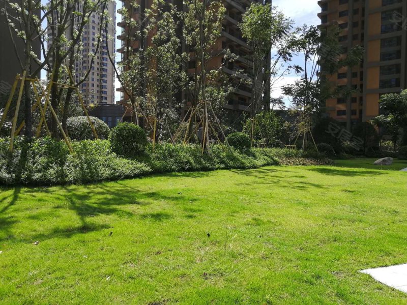 江岸景苑,会展路,近蒲江路-温州江岸景苑二手房,租房,房价-温州安居客