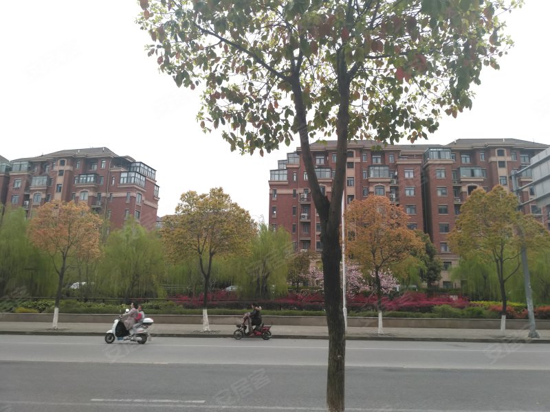 中星海上名豪苑(1001弄别墅) 