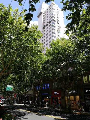 富丽华大楼,淮海中路809号 - 上海富丽华大楼二手房,租房,房价-上海