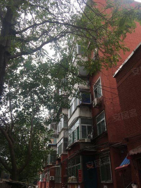 新建路小学宿舍,旱西南二条10号-太原新建路小学宿舍二手房,租房,房价