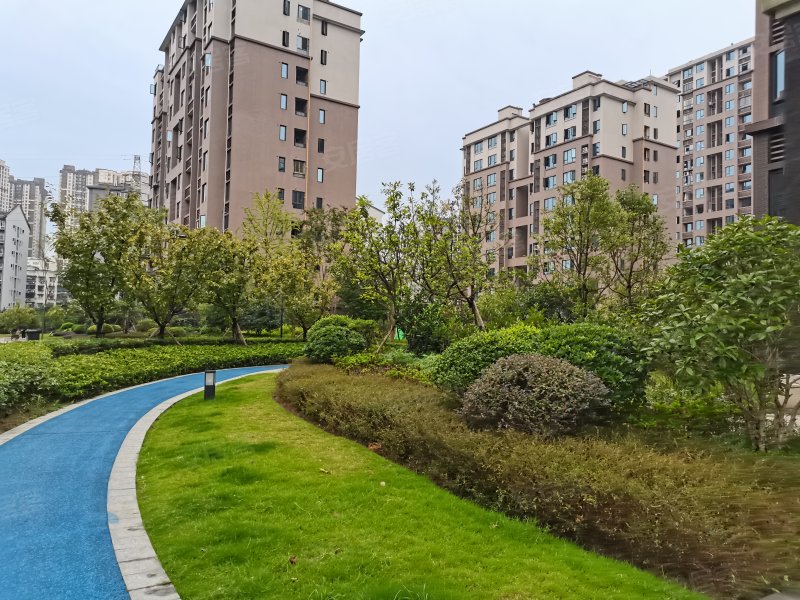 协信天骄溪悦,龙洲大道1399号-重庆协信天骄溪悦二手房,租房,房价