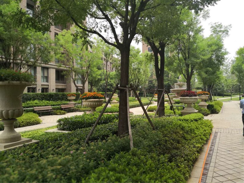 普罗旺世龙之梦西苑