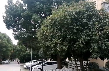 菊泉新城古北陆翔苑