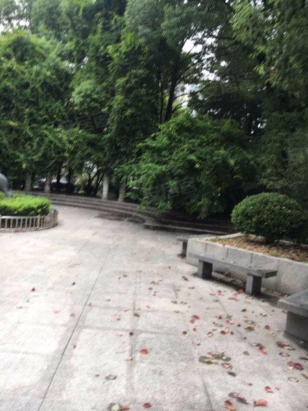 冠生园东方佳苑 