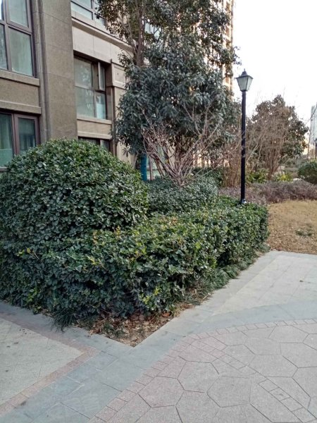 民安北郡(二期),清华园路-郑州民安北郡(二期)二手房,租房,房价-郑州