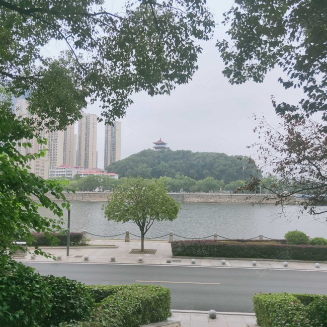 浏阳河畔世纪星城 三室两厅两卫 采光充足 房东直卖,世纪星城二手房