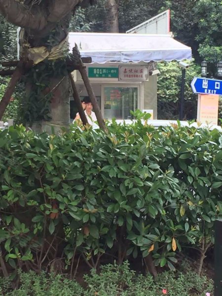 万科金色领域(西区)