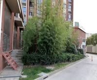 同悦湾华庭(北区公寓住宅) 