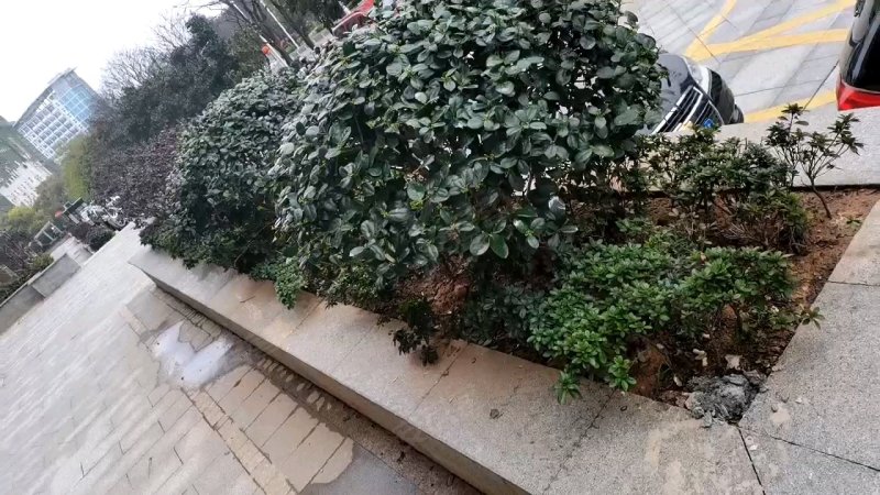 德森广场,铜都大道113号-铜陵德森广场二手房,租房,房价-铜陵安居客