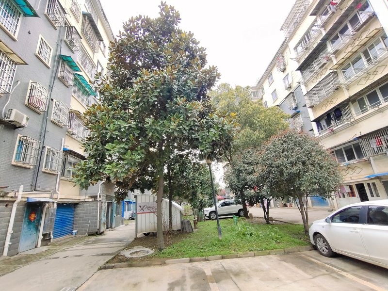 阳光花园(南陵)