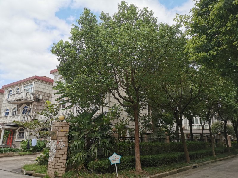 沈巷新村(北区) 