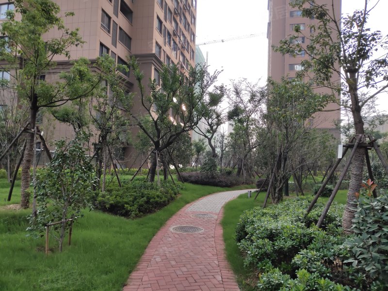 紫金华府,金巢大道-巢湖紫金华府二手房,租房,房价-巢湖安居客