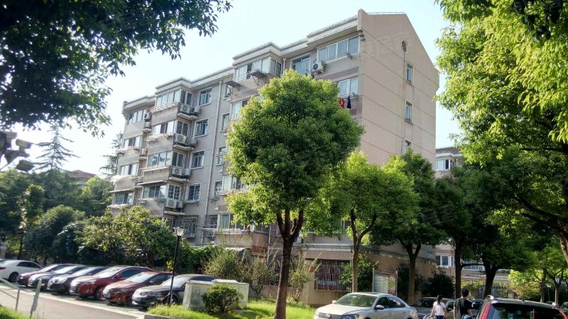 上虹新村七八九街坊 