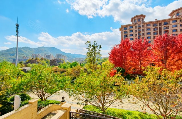 鲁信停云山庄3室2厅177.35㎡555万二手房图片