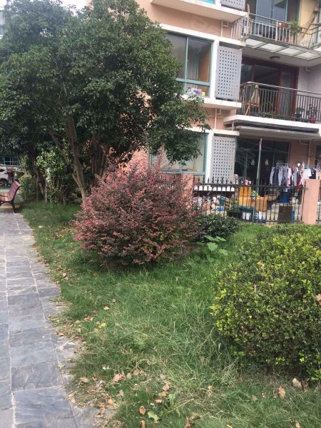 金色米兰苑(公寓住宅) 