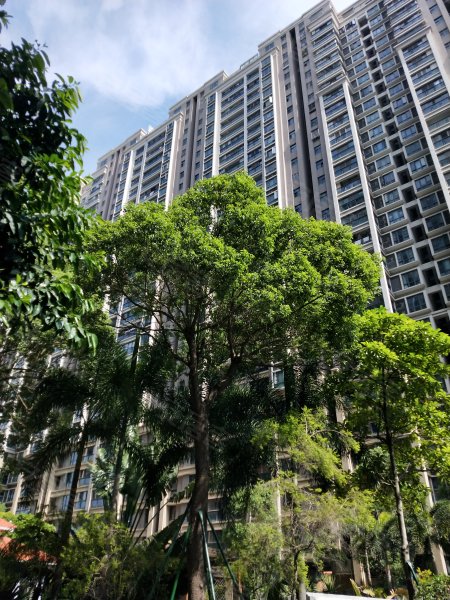 长平星湖嘉景,丰华庄路11号-汕头长平星湖嘉景二手房,租房,房价-汕头