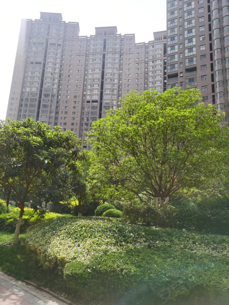 泰山誉景