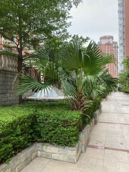 滨江花园城b区,金洲街7号-泉州滨江花园城b区二手房,租房,房价-泉州