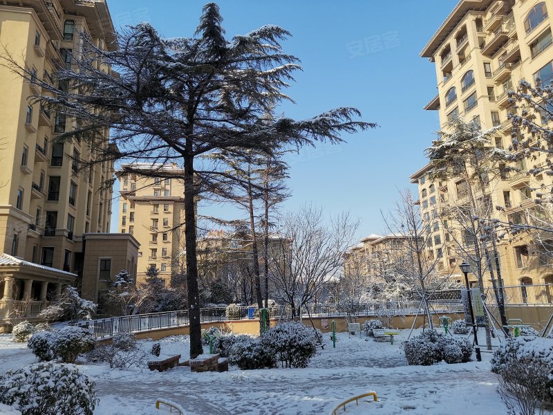 茂华爱琴海,四平路512号-潍坊茂华爱琴海二手房,租房,房价-潍坊安居客