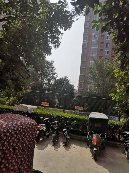 滨江国际星城,西大街-周口滨江国际星城二手房,租房,房价-周口安居客