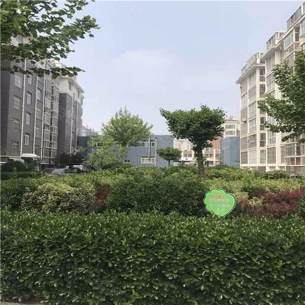 名仕佳苑,银山街-泰安名仕佳苑二手房,租房,房价-泰安安居客