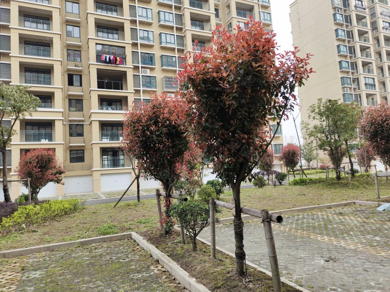 金桥名都,咸保路,近芜屯路