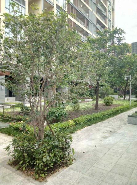 香蜜湖唯珍府,景田北街50号-深圳香蜜湖唯珍府二手房,租房,房价-深圳