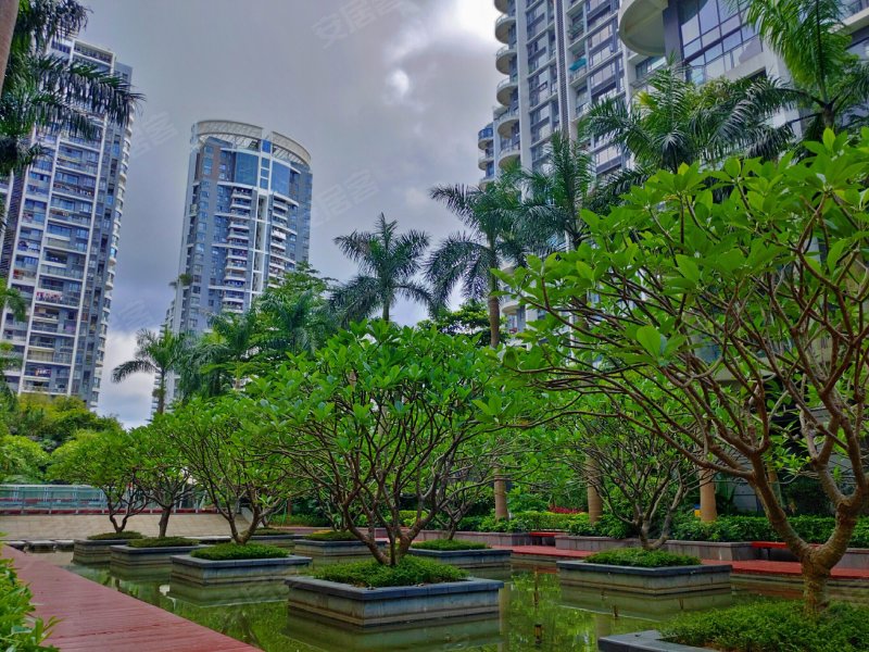 中信红树湾北区(别墅)