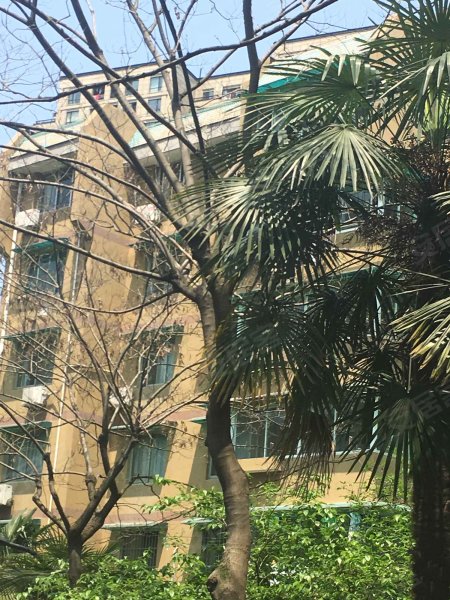 海景城花园,仁爱路-杭州海景城花园二手房,租房,房价-杭州安居客