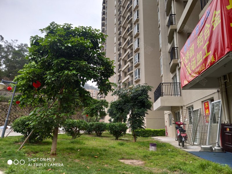 东坪花园(二期),东坪三里107-111,115号-厦门东坪花园(二期)二手房